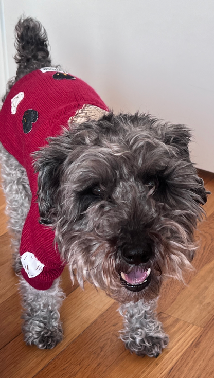 Dog Hearts Sweater